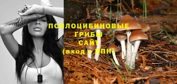 стаф Алексин