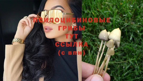 гидропоника Алзамай