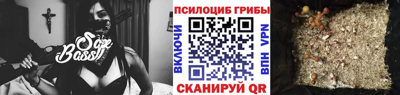 Псилоцибиновые грибы мицелий сколько стоит Амурск