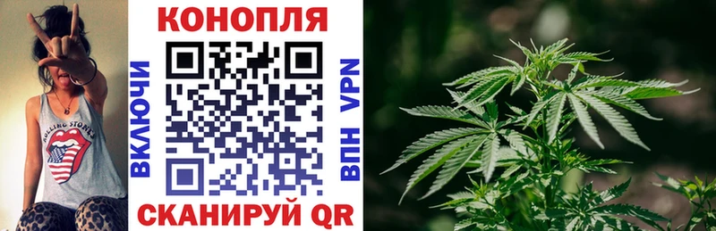 Канабис ГИДРОПОН  площадка официальный сайт  Амурск 